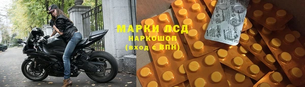 эйфоретик Алзамай