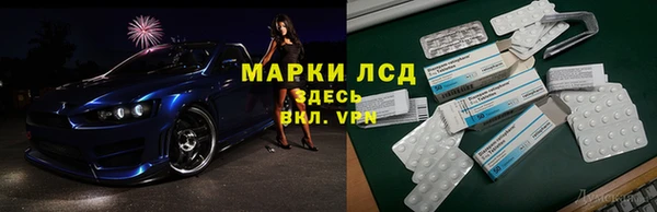 эйфоретик Алзамай