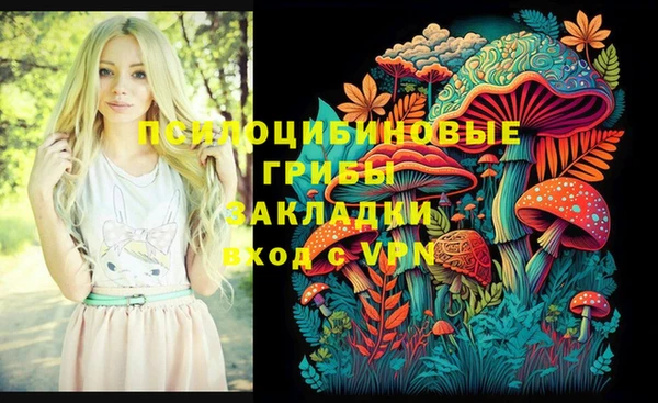 соль курить ск Алексеевка